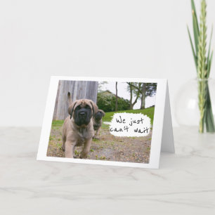 MASTIFF'S KUNNEN NIET WACHTEN *HAPPY BIRTHDAY* KAART