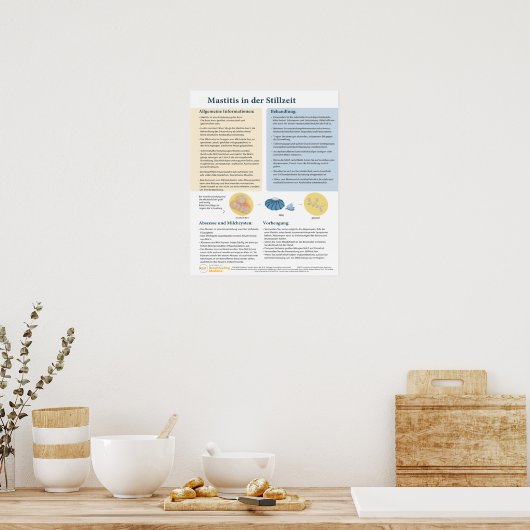 Mastitis bij Poster dat borstvoeding geeft (Duits) (Keuken)