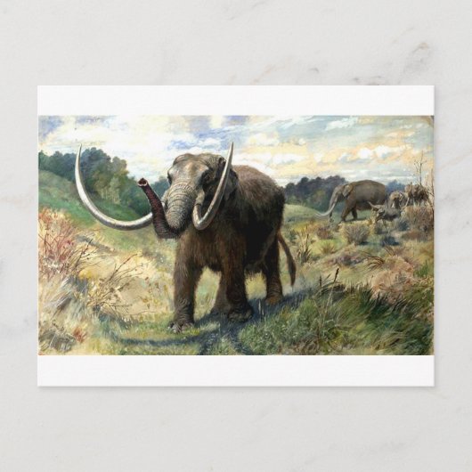 mastodon-1 briefkaart (Voorkant)