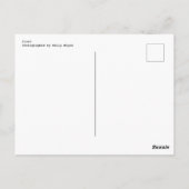 Mat Briefkaart (Achterkant)