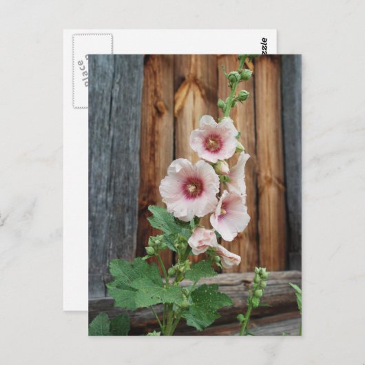 mat briefkaart (Voorkant / Achterkant)