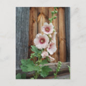 mat briefkaart (Voorkant)