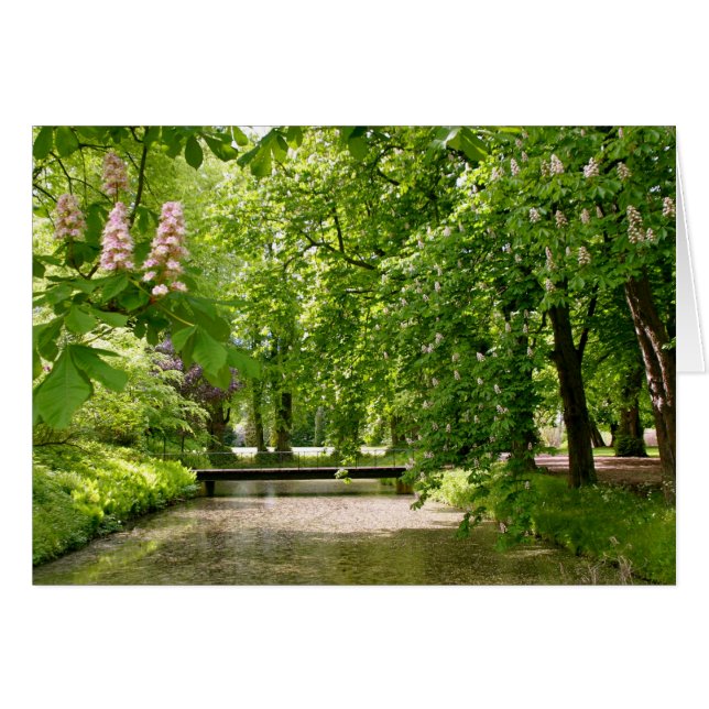 Mat in Denemarken (Voorkant Horizontaal)