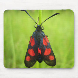 Mat van de Mouse van de Moth van de Bot van de Vij Muismat