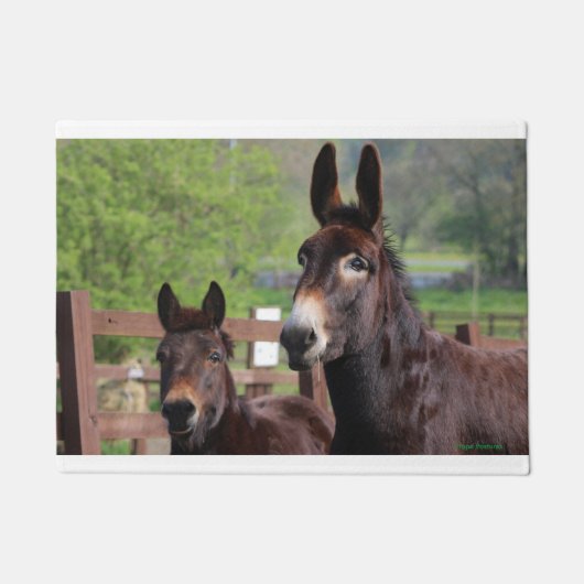 Mat van muffin en Coco-deur (Voorkant)