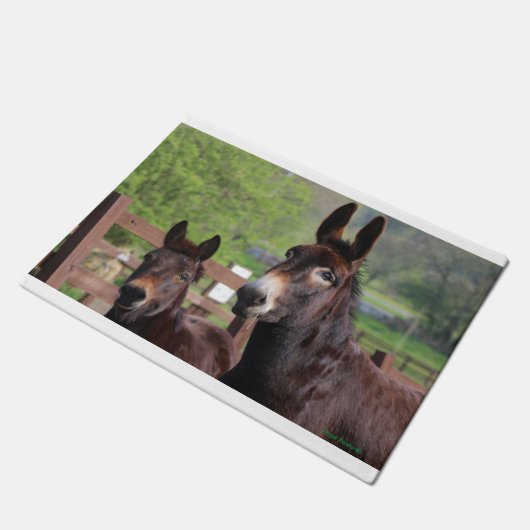 Mat van muffin en Coco-deur (Schuin)