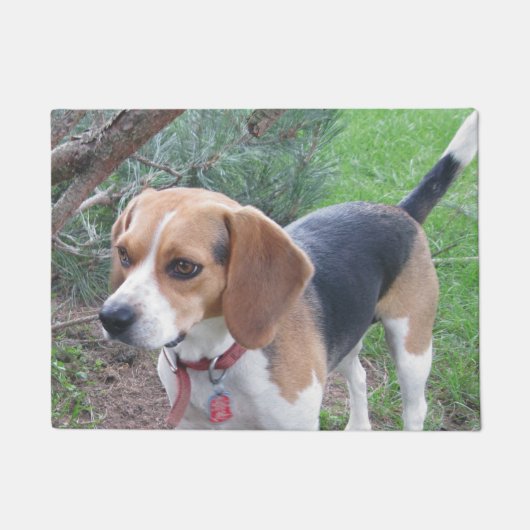Mat voor jonge beagle-heuvel (Voorkant)