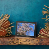 Matabei-Zakura: ijsboom Fotoplaat (Zijkant)