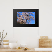 Matabei-Zakura: ijsboom Poster (Keuken)