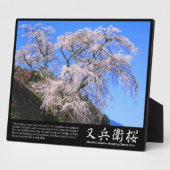 Matabei-Zakura treurkers [Fotoplaque] Fotoplaat (Zijkant)