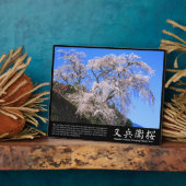 Matabei-Zakura treurkers [Fotoplaque] Fotoplaat (Zijkant)