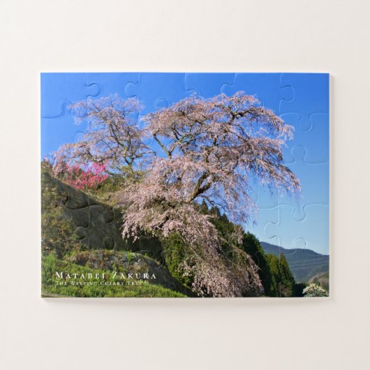 Matabei-Zakura: Treurwilg Kersenboom Legpuzzel (Horizontaal)