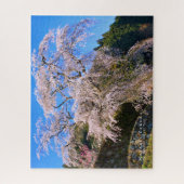 Matabei-Zakura: Treurwilg Kersenboom Legpuzzel (Verticaal)