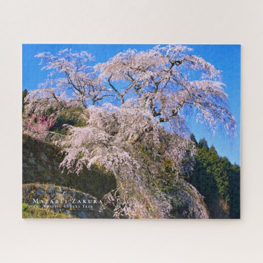 Matabei-Zakura: Treurwilg Kersenboom Legpuzzel (Horizontaal)
