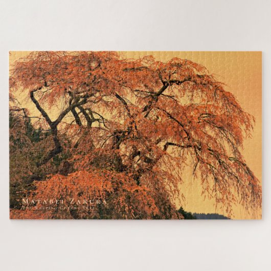 Matabei-Zakura: Treurwilg Kersenboom Legpuzzel (Horizontaal)