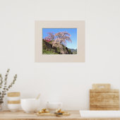 Matabei-Zakura Treurwilg Kersenboom Poster (Keuken)