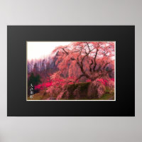 Matabei-Zakura: Treurwilg Kersenboom poster