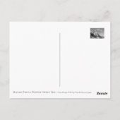 Matabei-Zakura: Weeping Cherry Tree Briefkaart (Achterkant)