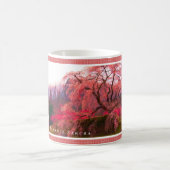 Matabei-Zakura Weeping Cherry Tree Koffiemok (Center)