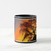 Matabei-Zakura Weeping Cherry Tree Mok (Midden)