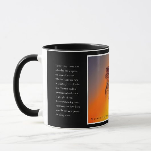 Matabei-Zakura Weeping Cherry Tree Mok (Links)