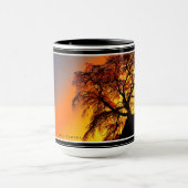 Matabei-Zakura Weeping Cherry Tree Mok (Midden)