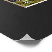 Matabei-Zakura Weeping Cherry Tree Poster (Hoek)