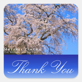 Matabei-Zakura: Weeping Cherry Tree Vierkante Sticker