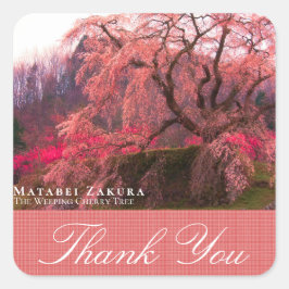 Matabei-Zakura: Weeping Cherry Tree Vierkante Sticker