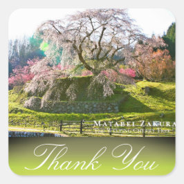 Matabei-Zakura: Weeping Cherry Tree Vierkante Sticker