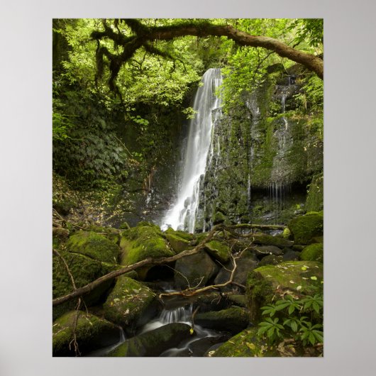 Matai-waterval, Catlins, South Otago Poster (Voorkant)