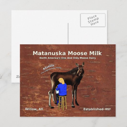 Matanuska Moose Milk Briefkaart (Voorkant / Achterkant)