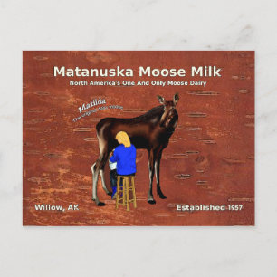 Matanuska Moose Milk Briefkaart