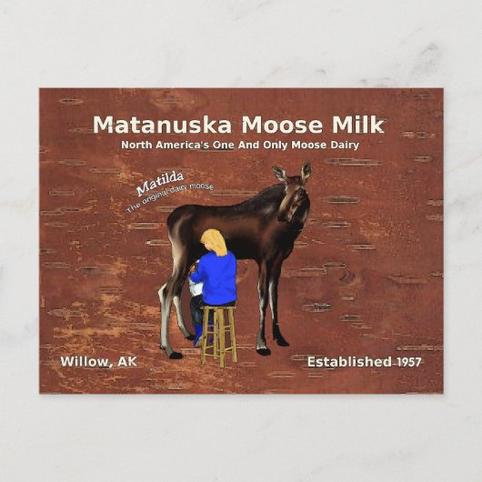 Matanuska Moose Milk Briefkaart (Voorkant)