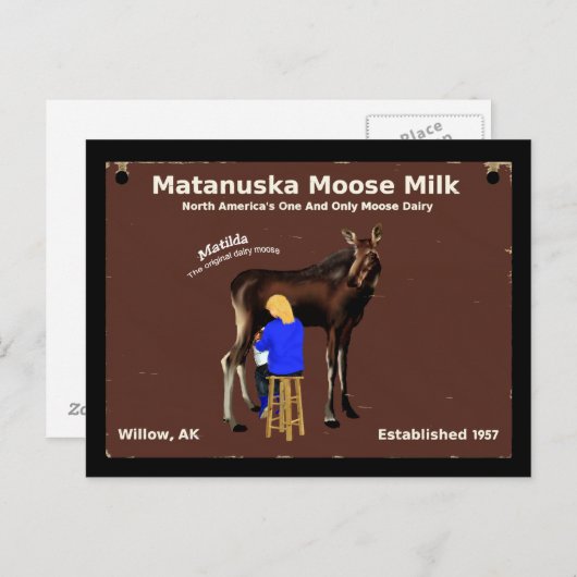Matanuska Moose Milk Briefkaart (Voorkant / Achterkant)