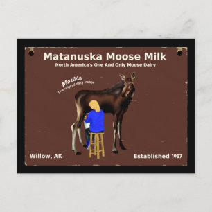 Matanuska Moose Milk Briefkaart