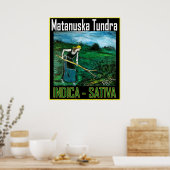 MATANUSKA TUNDRA INDICA SATIVA POSTER (Keuken)