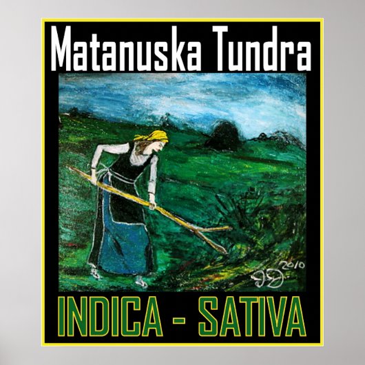MATANUSKA TUNDRA INDICA SATIVA POSTER (Voorkant)