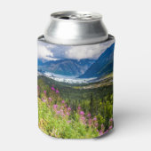 Matanuska Valley, Southcentral Alaska Blikjeskoeler (Blikje Voorkant)