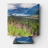 Matanuska Valley, Southcentral Alaska Blikjeskoeler (Voorkant)