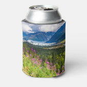 Matanuska Valley, Southcentral Alaska Blikjeskoeler (Blikje Achterkant)