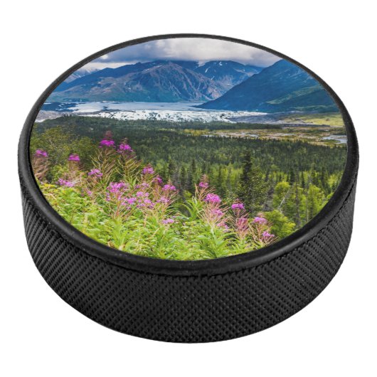 Matanuska Valley, Southcentral Alaska Hockey Puck (3/4)