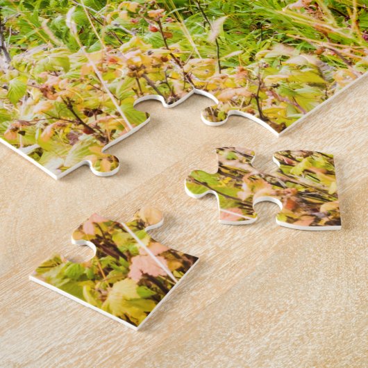 Matanuska Valley, Southcentral Alaska Legpuzzel (Zijkant)