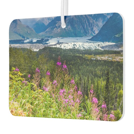 Matanuska Valley, Southcentral Alaska Luchtverfrisser (Links)