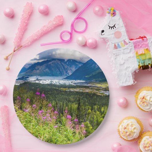 Matanuska Valley, Southcentral Alaska Papieren Bordje (Feest)