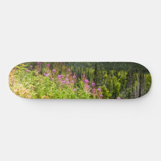 Matanuska Valley, Southcentral Alaska Persoonlijk Skateboard (Horizontaal)