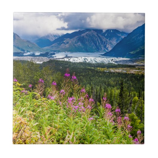 Matanuska Valley, Southcentral Alaska Tegeltje (Voorkant)