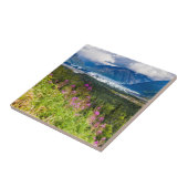 Matanuska Valley, Southcentral Alaska Tegeltje (Zijkant)