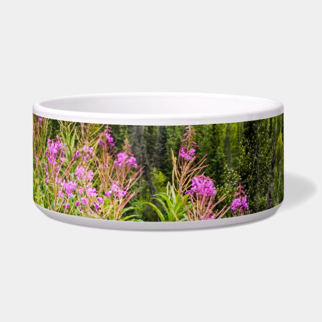 Matanuska Valley, Southcentral Alaska Voerbakje (Voorkant)