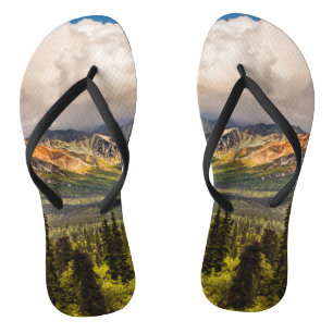 Matanuska valley, zuidelijk Alaska #2 Teenslippers